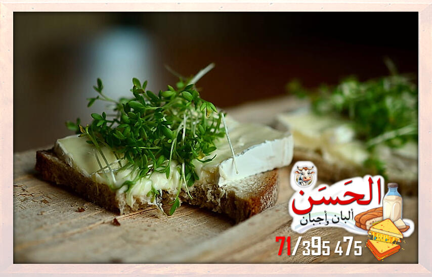 #اجبان_و_البان_الحسن #جباع #Al7asan_Cheese_Dairy